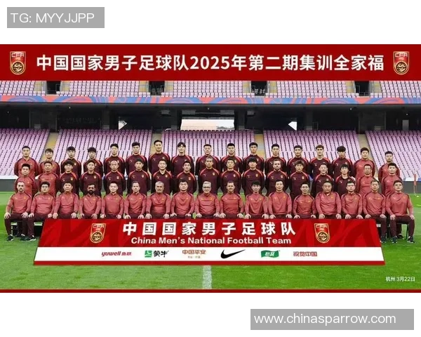 各国足球明星纷纷评价中国足球发展潜力与挑战