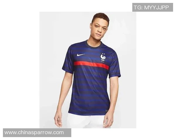 法国足球队球星球衣号码背后的故事与意义解析